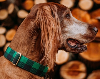 Sugar Pine Dog Collar, Green Buffalo Plaid, Flannel, Sale, Recycled Canvas, Custom, Buckle, Slip on, Martingale, Dog on the Moon