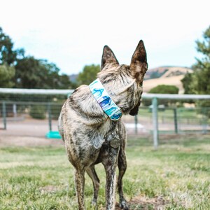 Lemuria's Gem Dog Collar, Recycled Canvas Collar, Crystals, Quartz, Teal, Purple, Custom, Buckle, Slip on, Martingale, Dog on the Moon image 2