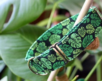 Monstera in Green Dog Collar: Houseplant, Plants, Nature, Tropical, Recycled Canvas, Custom, Buckle, Slip on, Martingale, Dog on the Moon