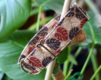 Monstera in Cocoa Dog Collar: Houseplant, Plants, Nature, Neutral, Recycled Canvas, Custom, Buckle, Slip on, Martingale, Dog on the Moon