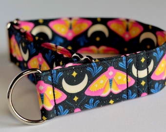 Rosy Maple Moth Dog Collar, Nature, Insects, New Age, Moon, Recycled Canvas Collar, Custom, Buckle, Slip on, Martingale, Dog on the Moon