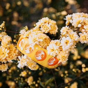 May include: A yellow collar featuring a repeating pattern of white circular moon phases and small star icons. The collar has a stitched border and is displayed nestled among clusters of small, pale yellow flowers on a leafy green branch.