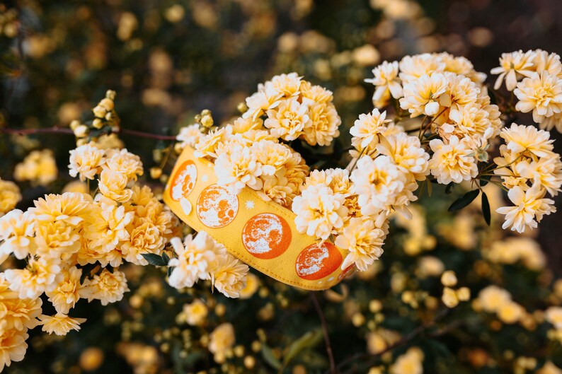 May include: A yellow collar featuring a repeating pattern of white circular moon phases and small star icons. The collar has a stitched border and is displayed nestled among clusters of small, pale yellow flowers on a leafy green branch.