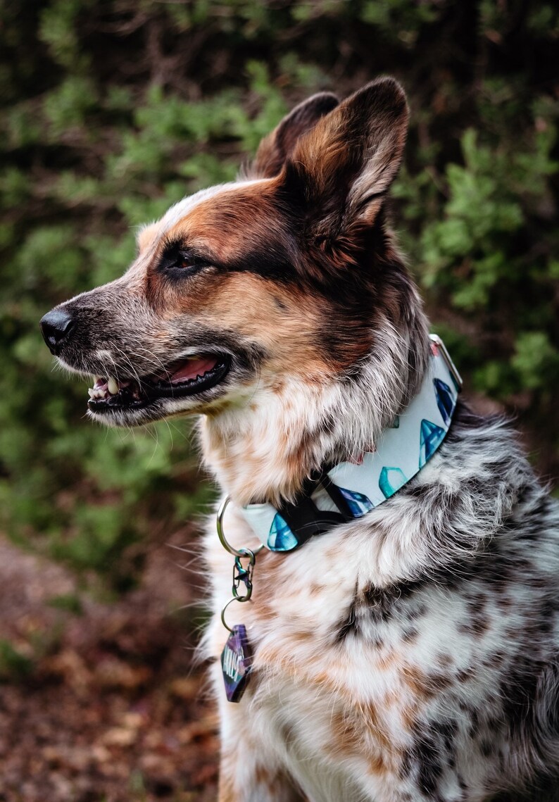 Lemuria's Gem Dog Collar, Recycled Canvas Collar, Crystals, Quartz, Teal, Purple, Custom, Buckle, Slip on, Martingale, Dog on the Moon image 4