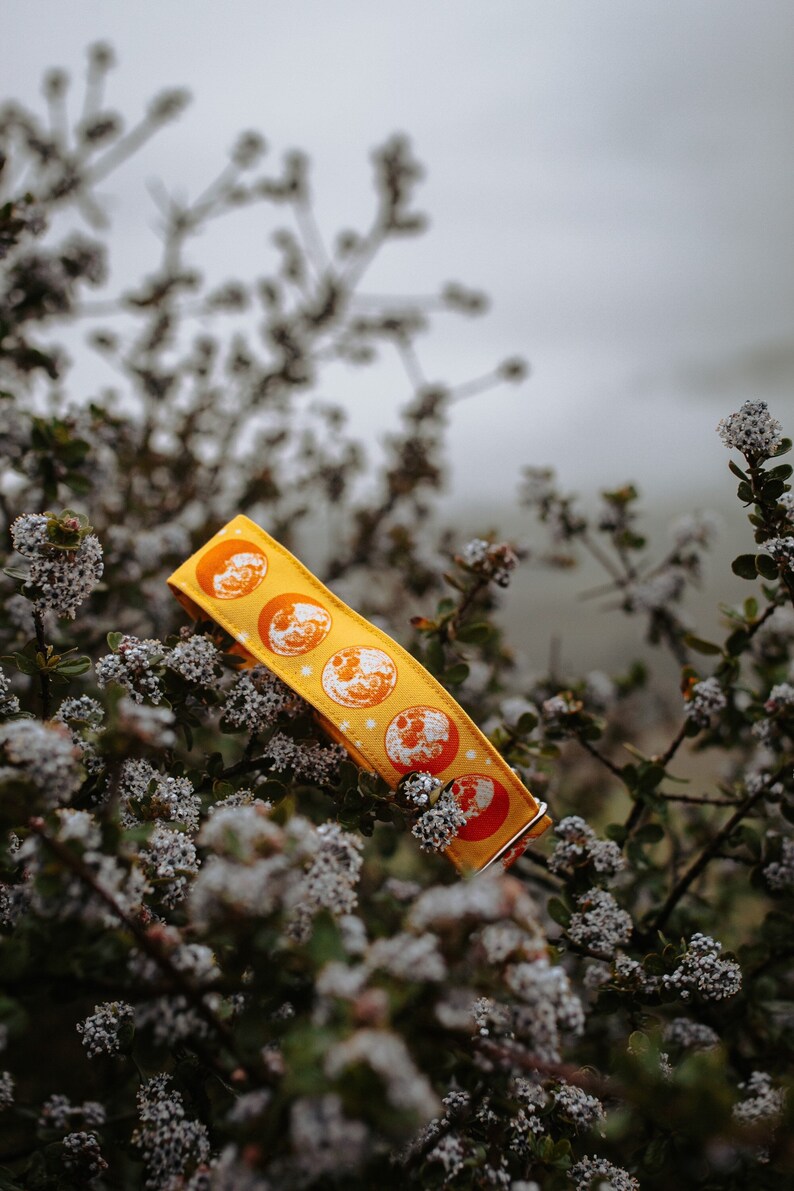 May include: A bright yellow fabric collar featuring a repeating pattern of white circular moon phases and small star icons. The collar is constructed from a durable woven material and includes a metallic hardware buckle component.