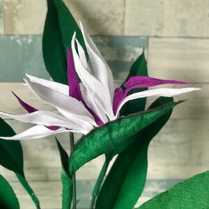 Close up photo of the bract of a Bird of Paradise bract which has 3 full blooms. Each bloom has 3 white tepals and 1 medium purple petal. The details is remarkable. Very lifelike flower. Perfect as a centerpiece. There is also a 7 leaf bundle.