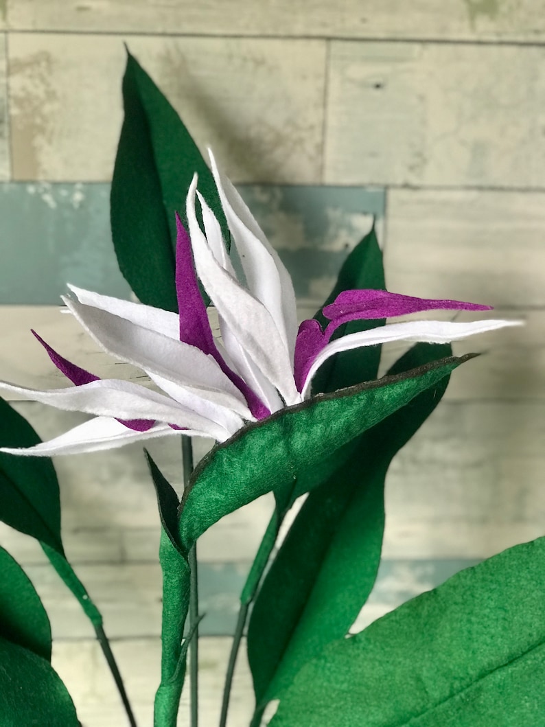 Close up photo of the bract of a Bird of Paradise bract which has 3 full blooms. Each bloom has 3 white tepals and 1 medium purple petal. The details is remarkable. Very lifelike flower. Perfect as a centerpiece. There is also a 7 leaf bundle.