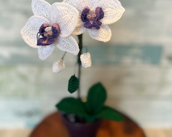 Phal Moth Orchid, Crochet Flower, Extra Small, handmade gift, Anniversary, Spring Decor, Easter, Mother’s Day, Home Decor, Spring Decor