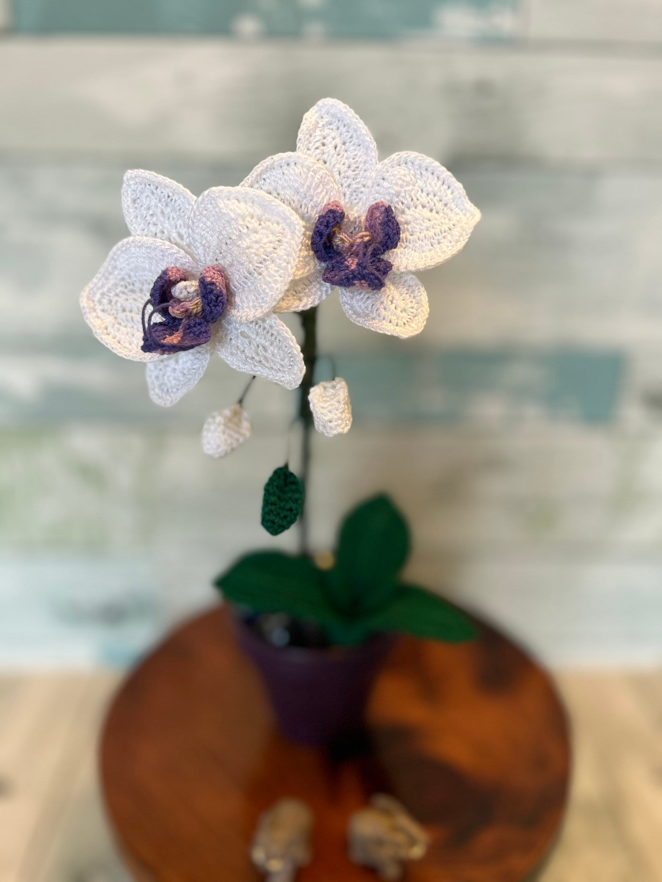 Phal Moth Orchid, Crochet Flowers, Extra Small, Handmade - Etsy