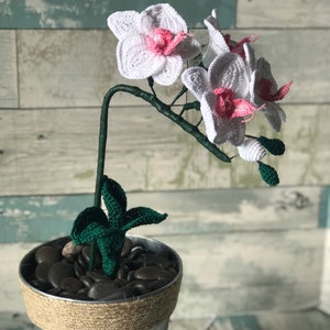 Orchid Crochet Flower, Phal Moth Orchid, gifts for her, handmade gift, Anniversary, Spring Decor, Easter, Mothers Day, Home Decor image 3
