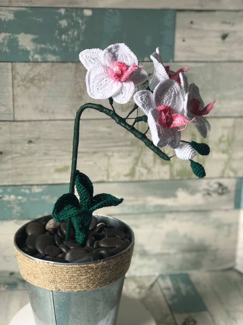 Orchid Crochet Flower, Phal Moth Orchid, gifts for her, handmade gift, Anniversary, Spring Decor, Easter, Mothers Day, Home Decor image 3