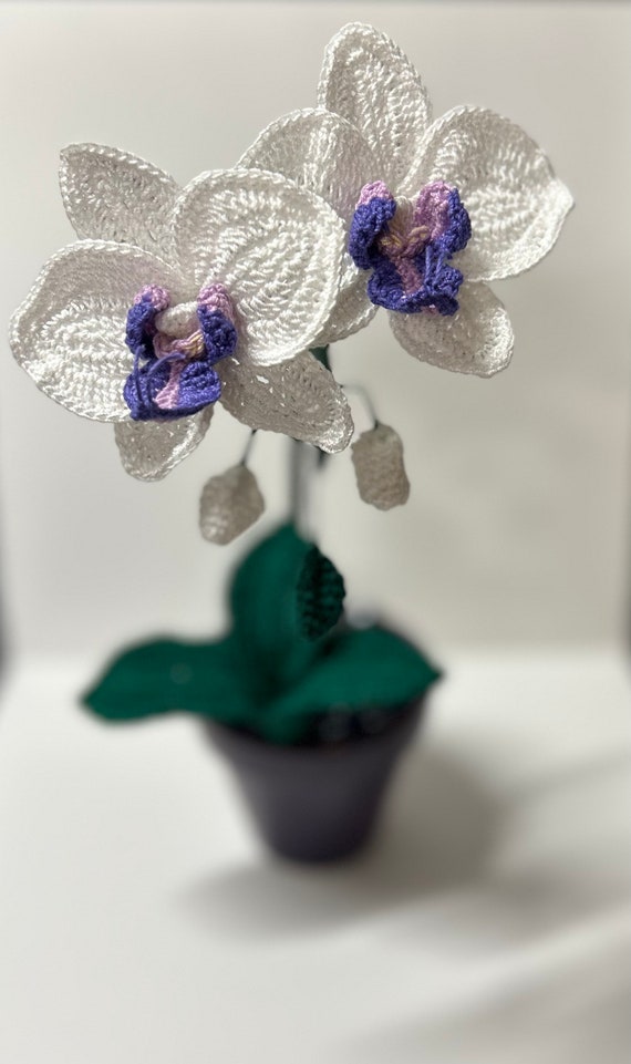 公式通販サイトです melt the lady☆ moth orchid mini knit☆新品