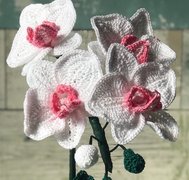 Orchid Crochet Flower, Phal Moth Orchid, gifts for her, handmade gift, Anniversary, Spring Decor, Easter, Mothers Day, Home Decor image 2