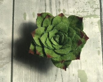 Felt Succulents: Handmade Hen and Chicks, Greenery Decor