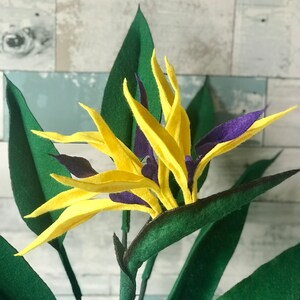 Bird of Paradise felt flowers with yellow tepals and purple petals surrounded by 7 leaves. 3 small leaves, 2 medium leaves, and 2 large leaves.