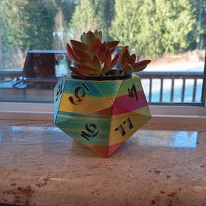 May include: A colorful, multi-sided, geometric planter shaped like a dice with numbers 1, 6, 9, 10, 11, and 12 printed on the sides. A succulent plant is growing inside the planter.