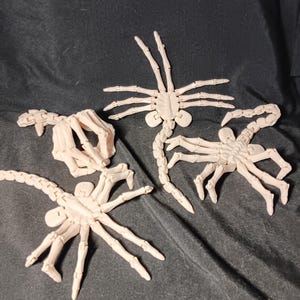 May include: Four light beige articulated insect skeleton models are displayed against a dark background. The models include a scorpion, a spider, and two other insect-like creatures. The models are made of a hard plastic material.