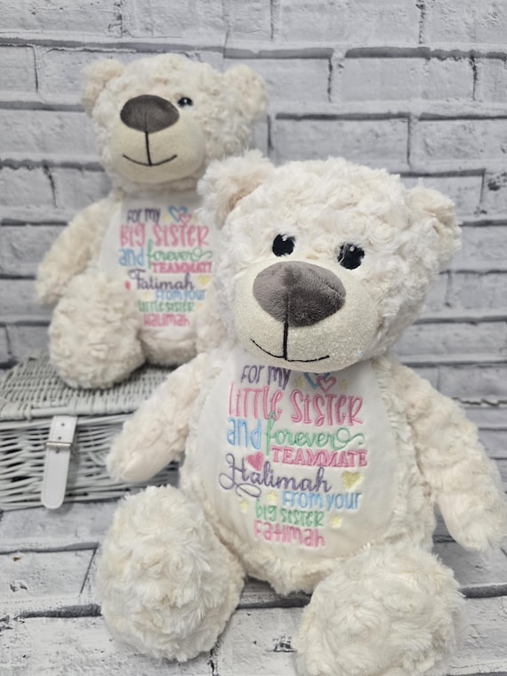 Personalised Big Sister Bear, Embroidered Little Sister Teddy, Matching Sibling Gifts