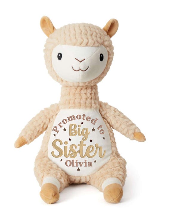 Personalised Promoted Big Sister Teddy Bear, Embroidered Sibling Stuffed Animal, Girls Named Soft Toy