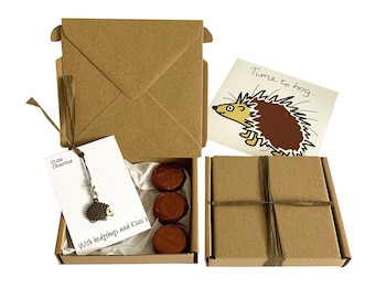 Tiny gifts! BIRTHDAY Hedgehog charm, birthday card, 3 x chocolates + gift box. Personalisable.