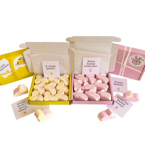 Tiny treats! 2 x Little boxes of Marshmallow Bunnies/Chicks. Personalisable.