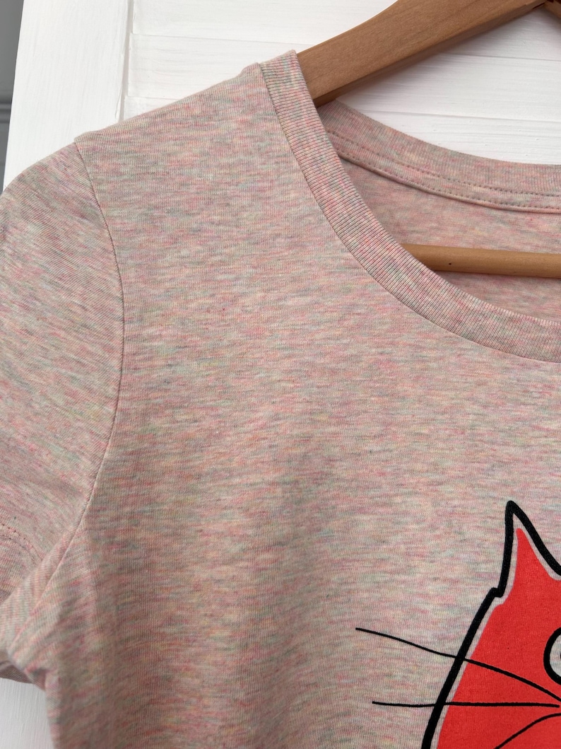 Pu&ograve; includere: T-shirt rosa chiaro con girocollo e maniche corte. La maglietta presenta una grafica di gatto rosso con dettagli neri. Il tessuto ha un aspetto m&eacute;lange, con sottili variazioni di colore.