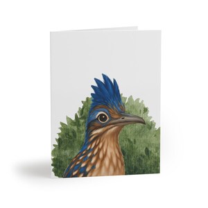 Peut inclure: Carte de vœux avec une illustration détaillée d'un grand géocoucou. L'oiseau a des plumes bleues et marron, un long bec et une crête distinctive. L'arrière-plan comprend un élément vert et feuillu, le tout sur une carte blanche.