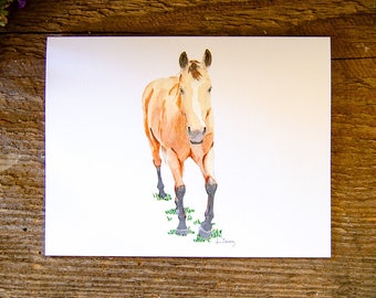 Personalized Blank Horse Greeting Card - Horse Card - Greeting Cards - C96