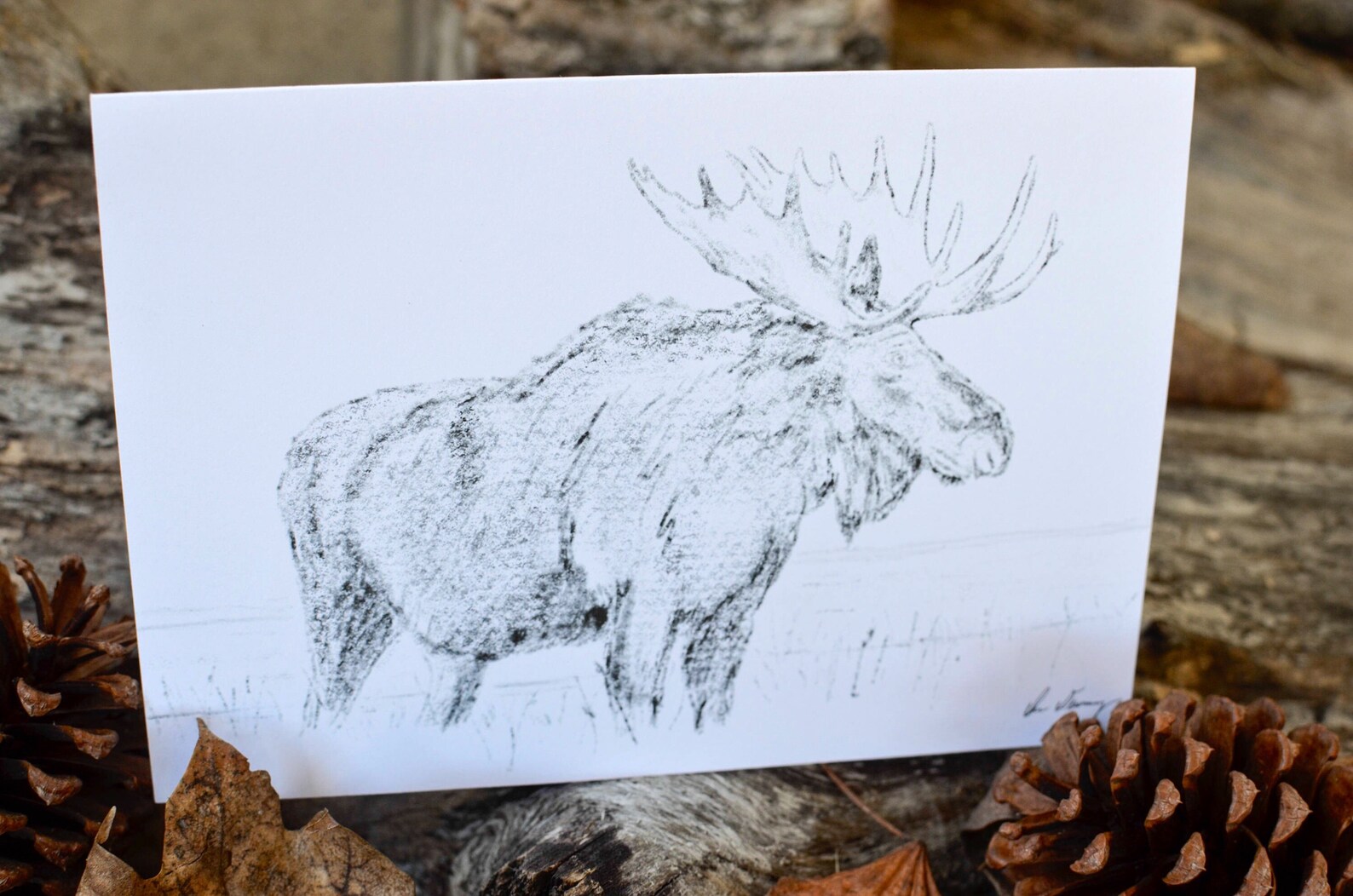 Personalized Moose Notecards Moose Greeting Cards Moose - Etsy UK