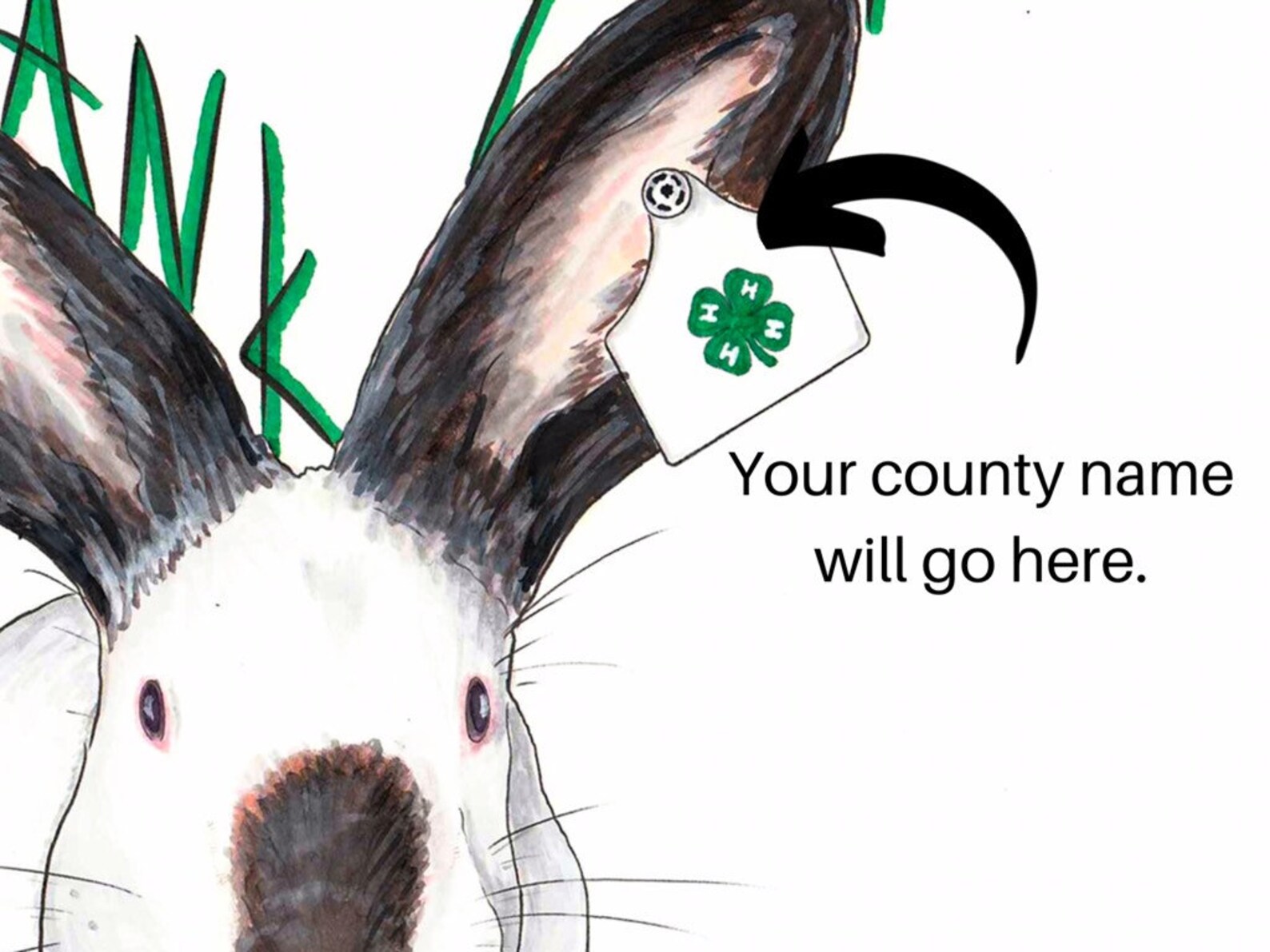 Rabbit 4H Thank You Cards C77 Etsy