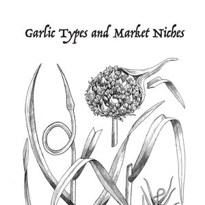 Garlic Zine image 1