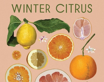 Winter Citrus Poster