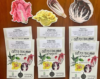 RADICCHIO LOVER Radicchio Seed Set: 6 packets + stickers