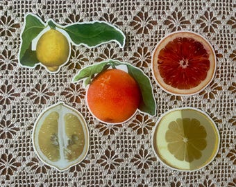 Citrus Sticker Set