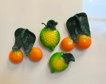 Magnets: Citrus Lover Collection (4 piece)