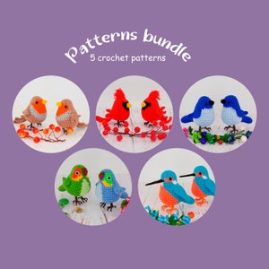 May include: A set of five crochet bird patterns. The patterns include a robin, cardinal, bluebird, parakeet, and kingfisher. The patterns are shown in a collage of images with each bird on a white background.