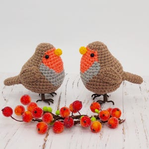 Amigurumi crochet pattern bird robin / crocheted robin / amigurumi birds / crochet pattern cardinal /