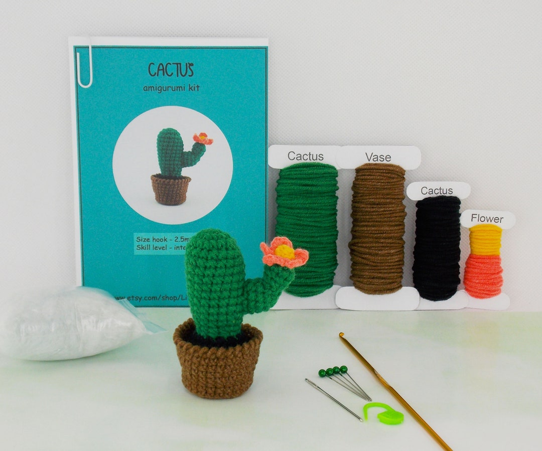 DIY Amigurumi Crochet Kit Little Cactus / Craft Project - Etsy Canada