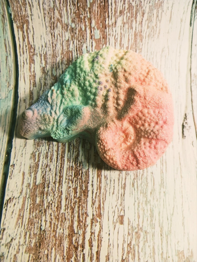 Chameleon Bath Bombs, Rainbow bath bombs, Bath Bombs, Lizard bath bombs, bath fizzy, vegan bath bombs, kids bath bombs, rainbow bath bomb image 1