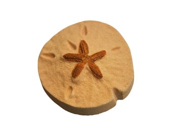 Sand Dollar Bath Bombs: Tropical Beach Bath Fizzy