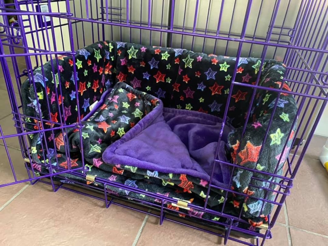 Purple hotsell dog cage