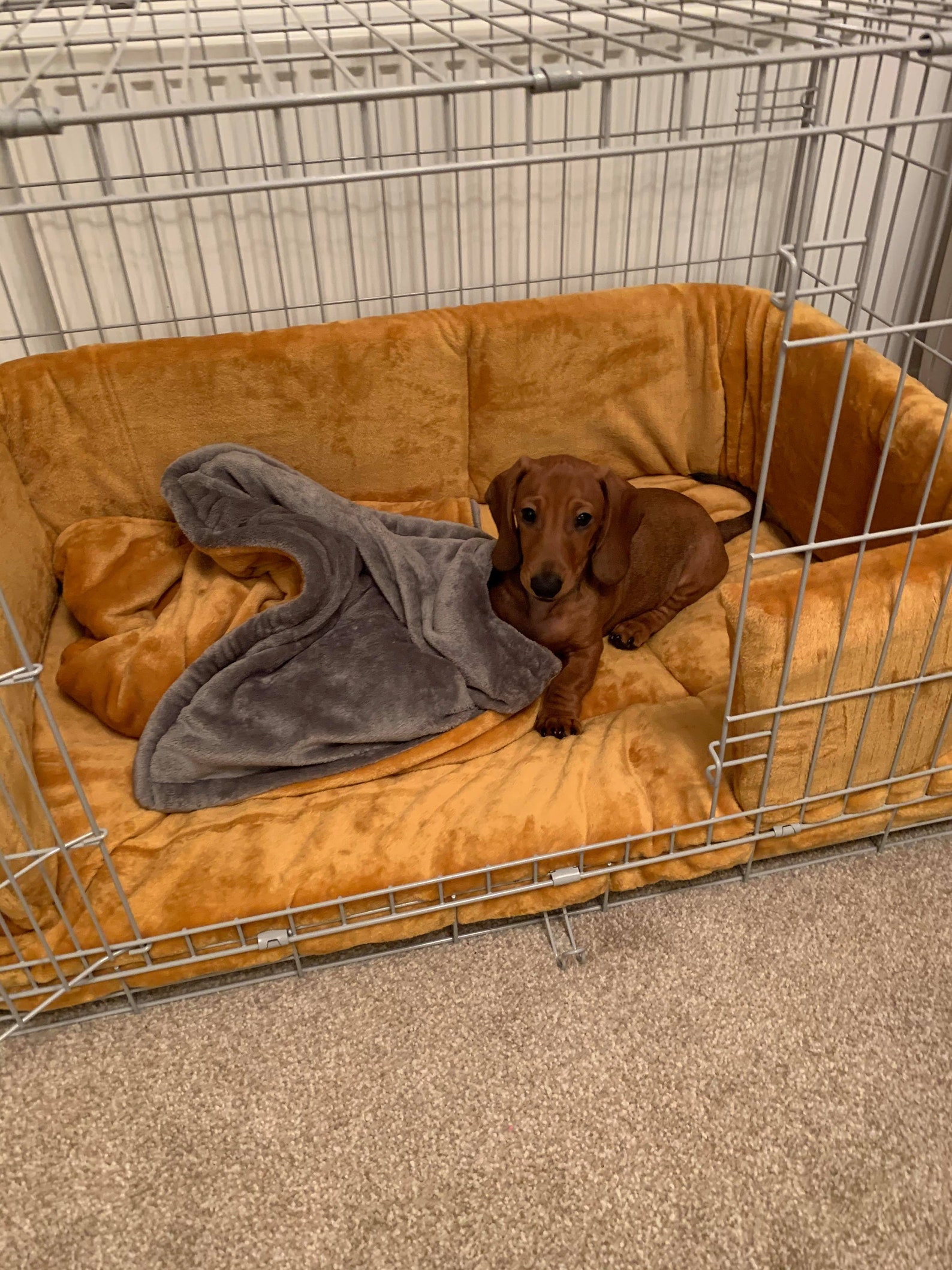 Dog Crate Bumper Bedding Set 30 Crate Etsy UK