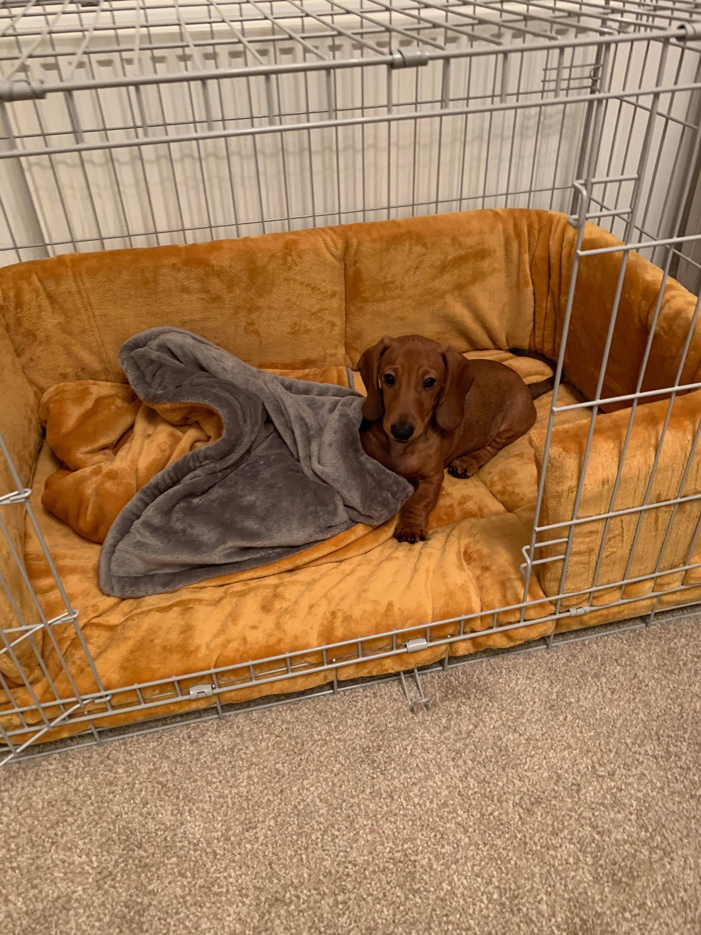 Dog crate bumper bedding set 30 crate Etsy