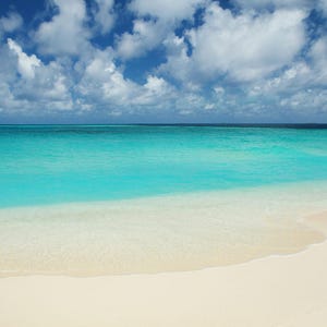 BEACH DAY- NEW! - Perfume ~ Pure Perfume Rollerball: Alcohol Free . Vegan & Cruelty Free