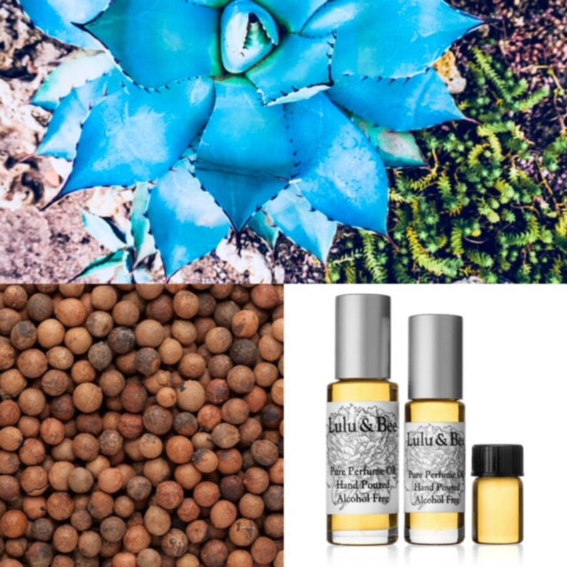 BLUE AGAVE & CACAO Jo Malone Inspired Perfume Pure Perfume Etsy