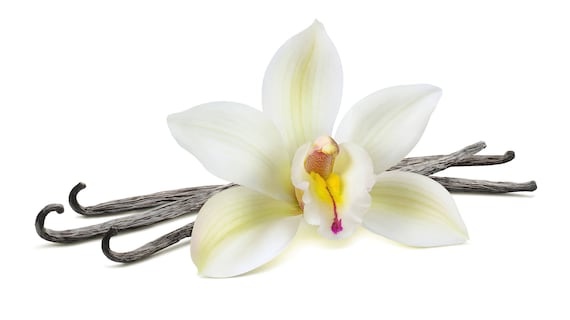 TOBACCO VANILLE (type) Inspired Perfume ~ Pure Perfume Rollerball: Alcohol  Free - Unisex. Vegan & Cruelty Free