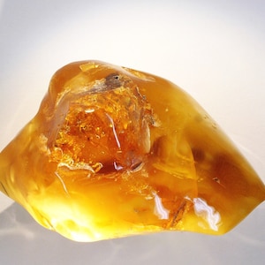 AMBER ESSENTIAL OIL ~ Pure Perfume Rollerball: Alcohol Free - Women. Vegan & Cruelty Free.