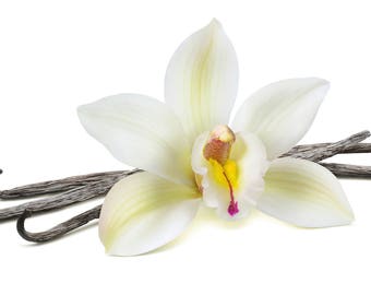 TOBACCO VANILLE (type) inspired perfume ~  Pure Perfume Rollerball: Alcohol Free - Unisex. Vegan and Cruelty Free.