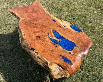 Blue Lake Driftwood Coffee Table