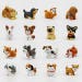 A set 16pcs Puppy , Fairy Dog Garden Supplies Garden Decoration Terrarium Accessories 